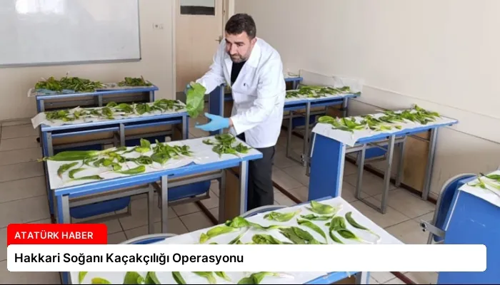 Hakkari Soğanı Kaçakçılığı Operasyonu