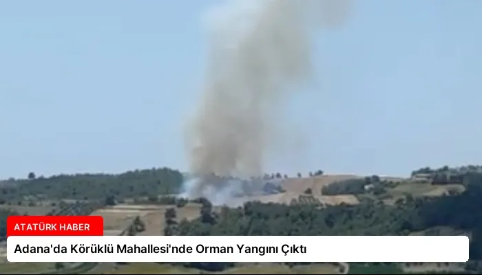 Adana’da Körüklü Mahallesi’nde Orman Yangını Çıktı