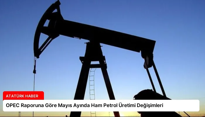 OPEC Raporuna Göre Mayıs Ayında Ham Petrol Üretimi Değişimleri