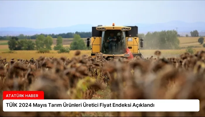 TÜİK 2024 Mayıs Tarım Ürünleri Üretici Fiyat Endeksi Açıklandı
