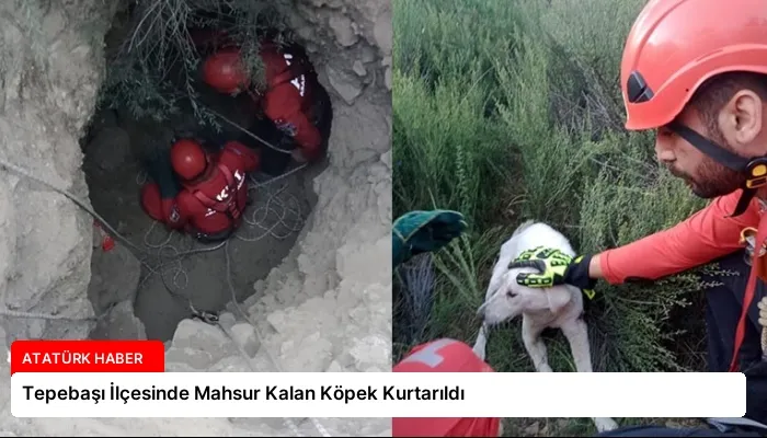 Tepebaşı İlçesinde Mahsur Kalan Köpek Kurtarıldı