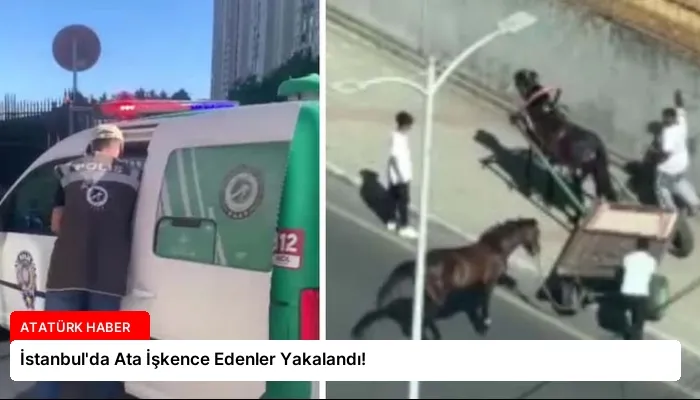 İstanbul’da Ata İşkence Edenler Yakalandı!