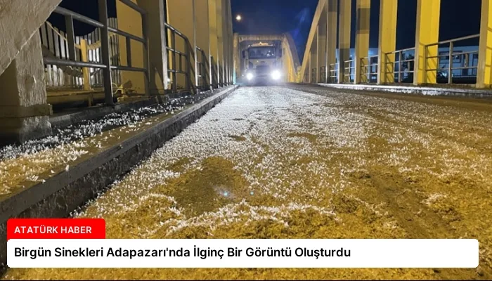 Birgün Sinekleri Adapazarı’nda İlginç Bir Görüntü Oluşturdu