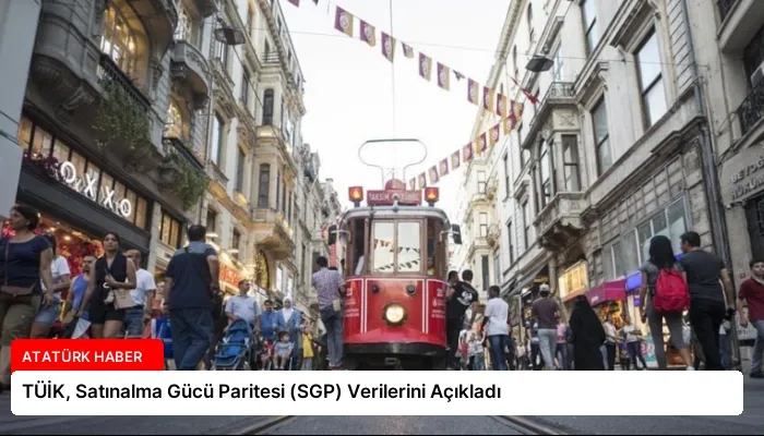TÜİK, Satınalma Gücü Paritesi (SGP) Verilerini Açıkladı