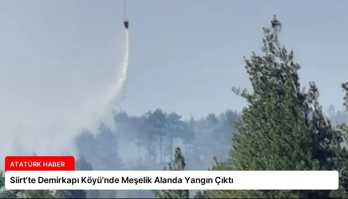Siirt’te Demirkapı Köyü’nde Meşelik Alanda Yangın Çıktı