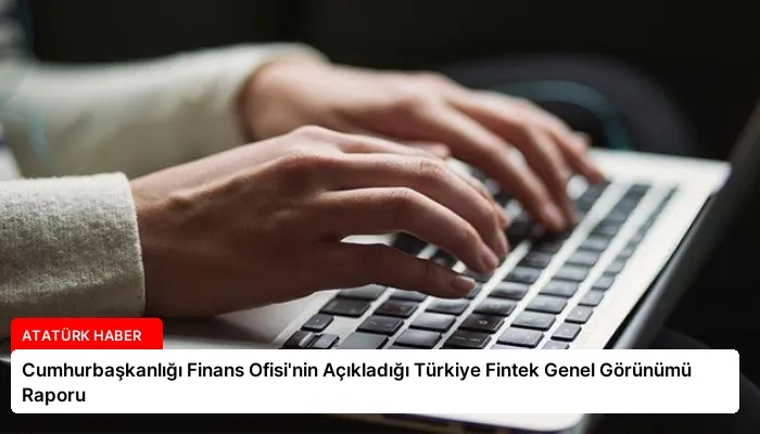 Cumhurbaşkanlığı Finans Ofisi’nin Açıkladığı Türkiye Fintek Genel Görünümü Raporu