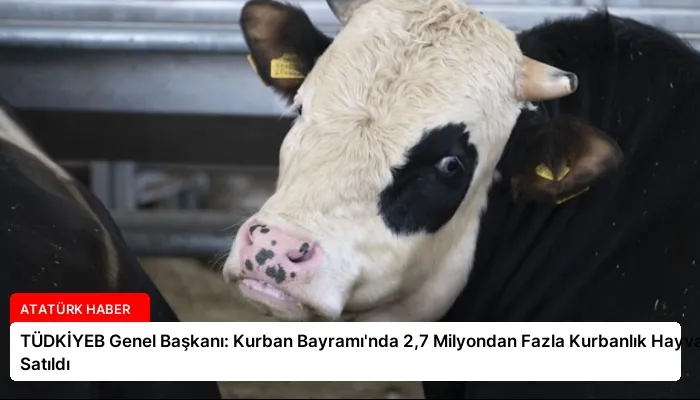 TÜDKİYEB Genel Başkanı: Kurban Bayramı’nda 2,7 Milyondan Fazla Kurbanlık Hayvan Satıldı