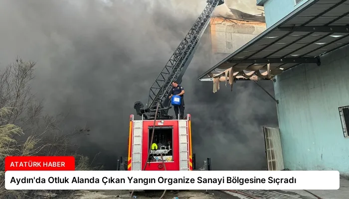 Aydın’da Otluk Alanda Çıkan Yangın Organize Sanayi Bölgesine Sıçradı