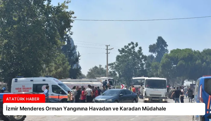 İzmir Menderes Orman Yangınına Havadan ve Karadan Müdahale