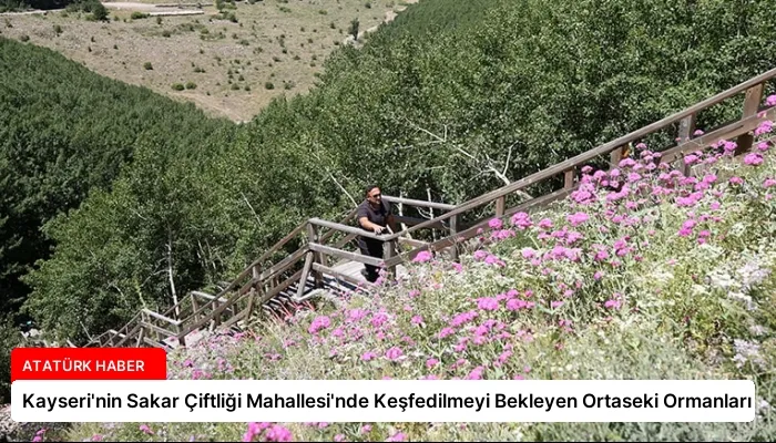 Kayseri’nin Sakar Çiftliği Mahallesi’nde Keşfedilmeyi Bekleyen Ortaseki Ormanları