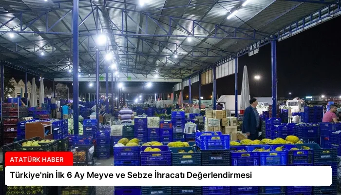 Türkiye’nin İlk 6 Ay Meyve ve Sebze İhracatı Değerlendirmesi