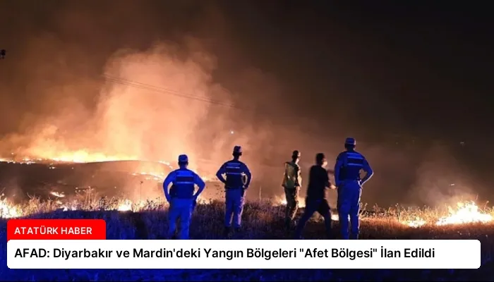 AFAD: Diyarbakır ve Mardin’deki Yangın Bölgeleri “Afet Bölgesi” İlan Edildi