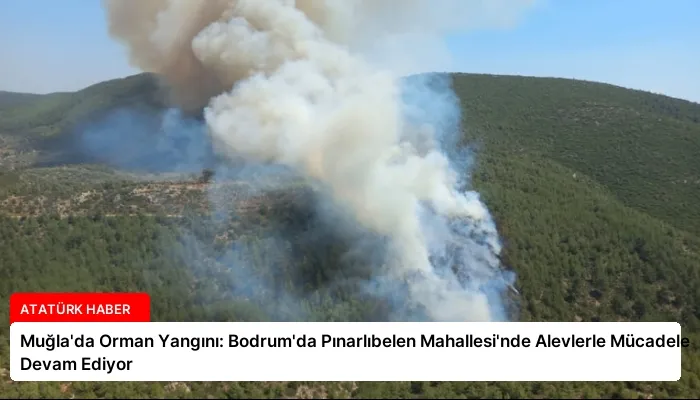 Muğla’da Orman Yangını: Bodrum’da Pınarlıbelen Mahallesi’nde Alevlerle Mücadele Devam Ediyor
