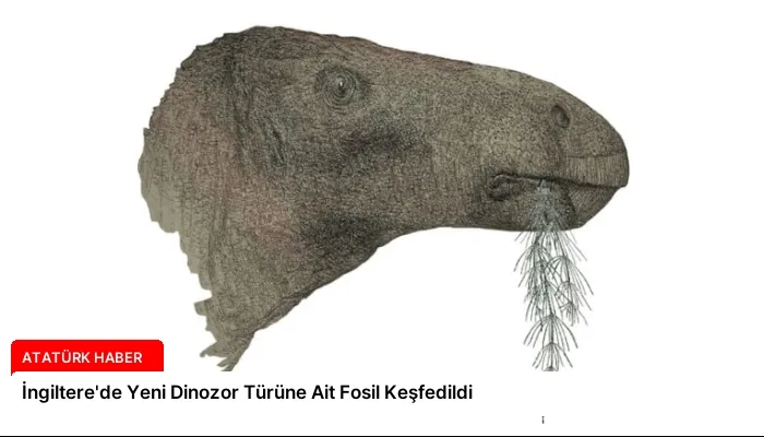 İngiltere’de Yeni Dinozor Türüne Ait Fosil Keşfedildi