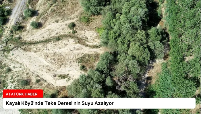 Kayalı Köyü’nde Teke Deresi’nin Suyu Azalıyor