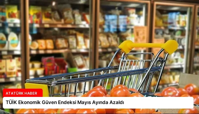 TÜİK Ekonomik Güven Endeksi Mayıs Ayında Azaldı