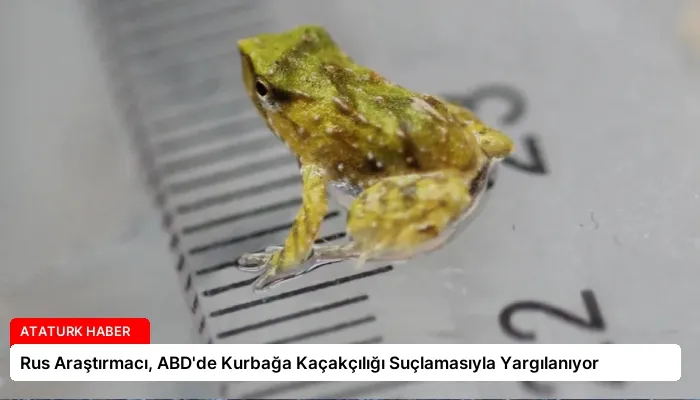 Rus Araştırmacı, ABD’de Kurbağa Kaçakçılığı Suçlamasıyla Yargılanıyor