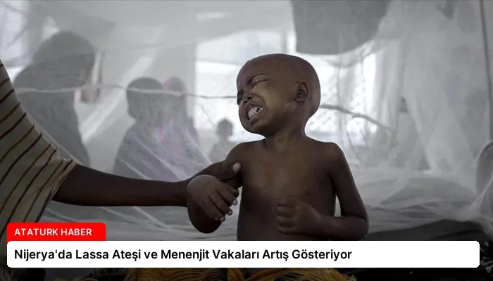 Nijerya’da Lassa Ateşi ve Menenjit Vakaları Artış Gösteriyor