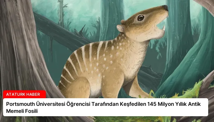Portsmouth Üniversitesi Öğrencisi Tarafından Keşfedilen 145 Milyon Yıllık Antik Memeli Fosili