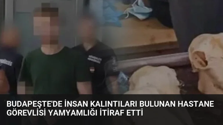 Budapeşte’de İnsan Kalıntıları Bulunan Hastane Görevlisi Yamyamlığı İtiraf Etti