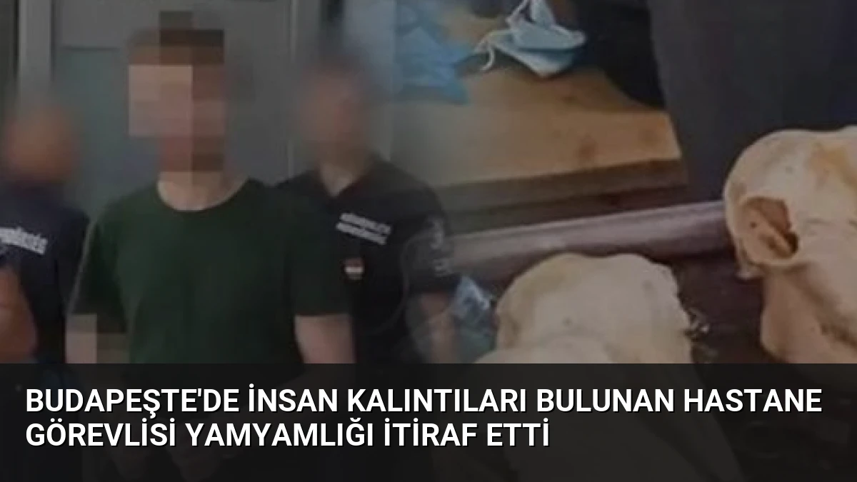Budapeşte’de İnsan Kalıntıları Bulunan Hastane Görevlisi Yamyamlığı İtiraf Etti