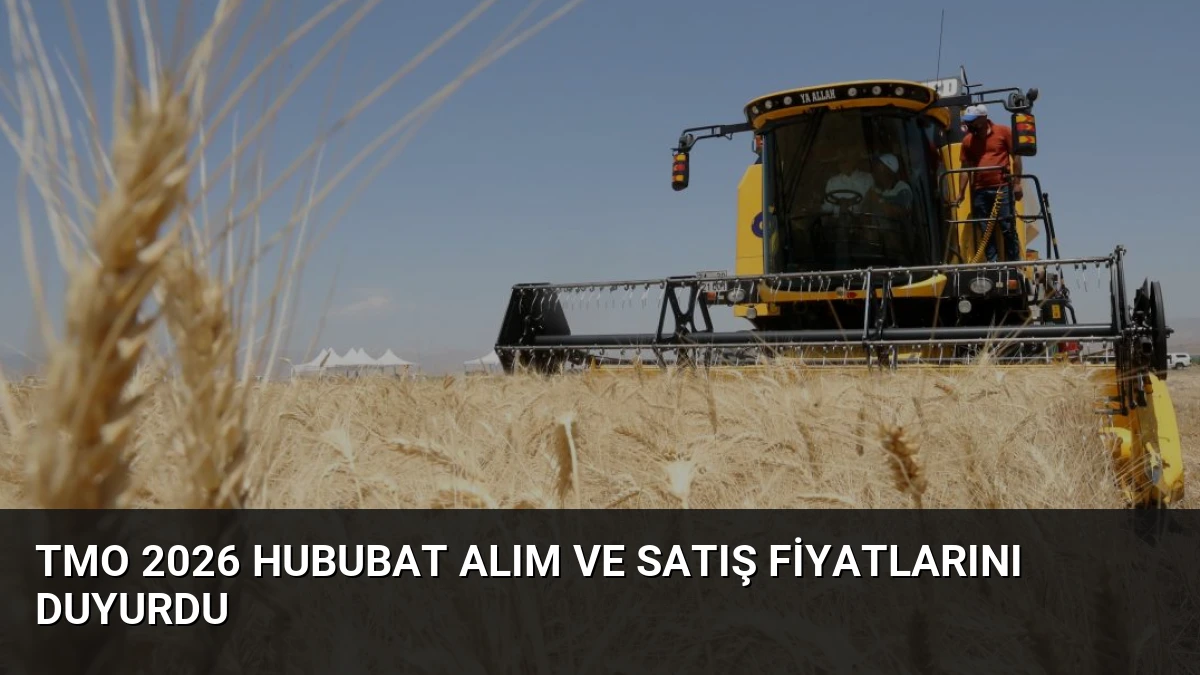 TMO 2026 Hububat Alım ve Satış Fiyatlarını Duyurdu