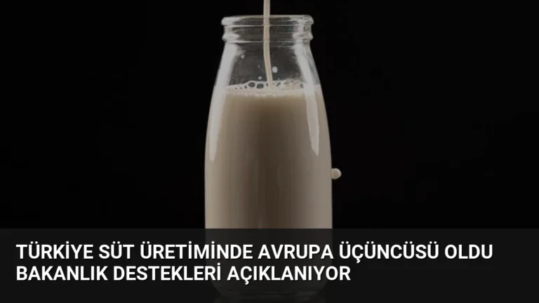 Türkiye Süt Üretiminde Avrupa Üçüncüsü Oldu Bakanlık Destekleri Açıklanıyor