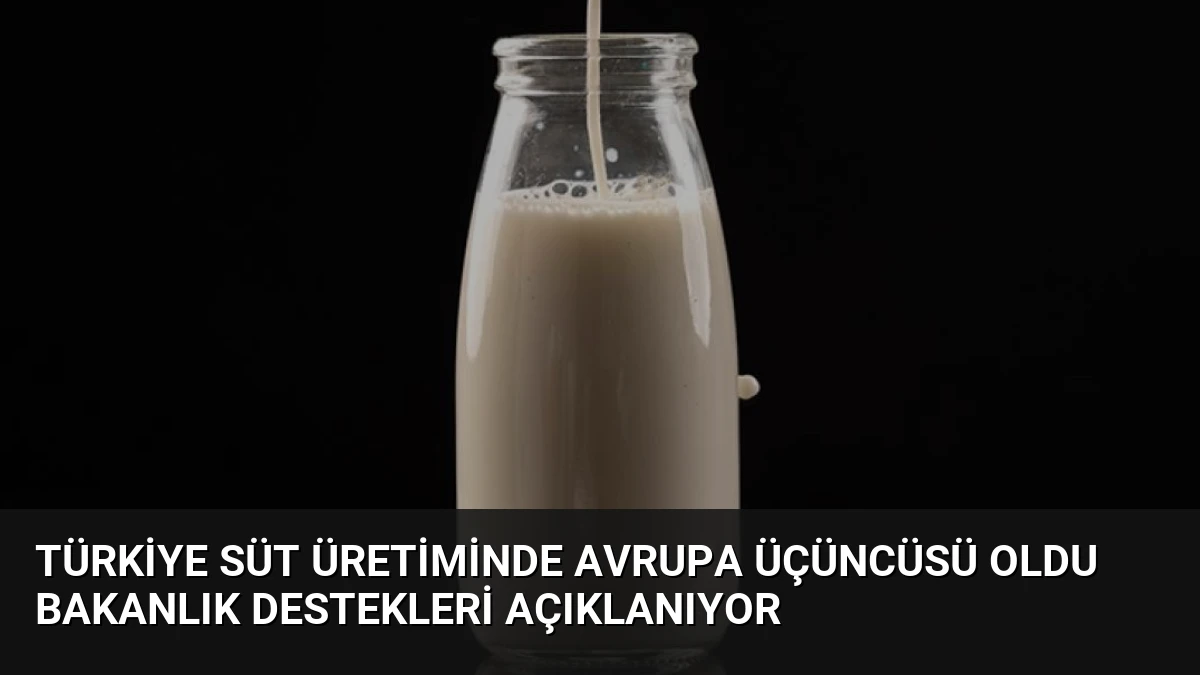 Türkiye Süt Üretiminde Avrupa Üçüncüsü Oldu Bakanlık Destekleri Açıklanıyor