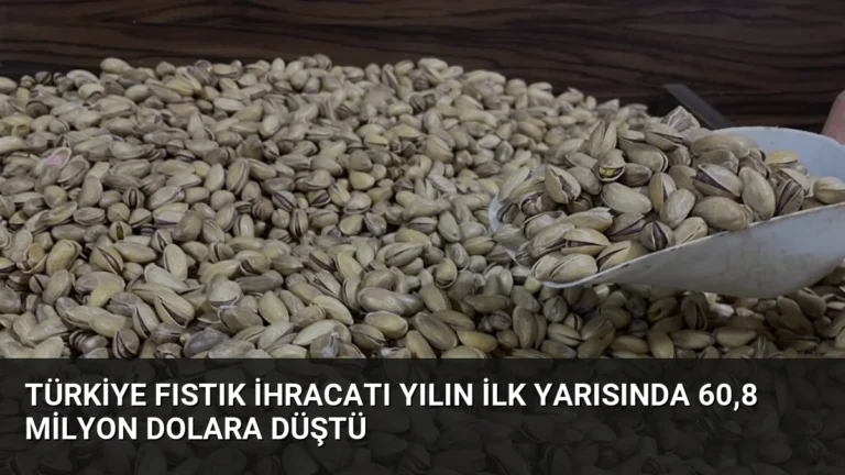 Türkiye Fıstık İhracatı Yılın İlk Yarısında 60,8 Milyon Dolara Düştü