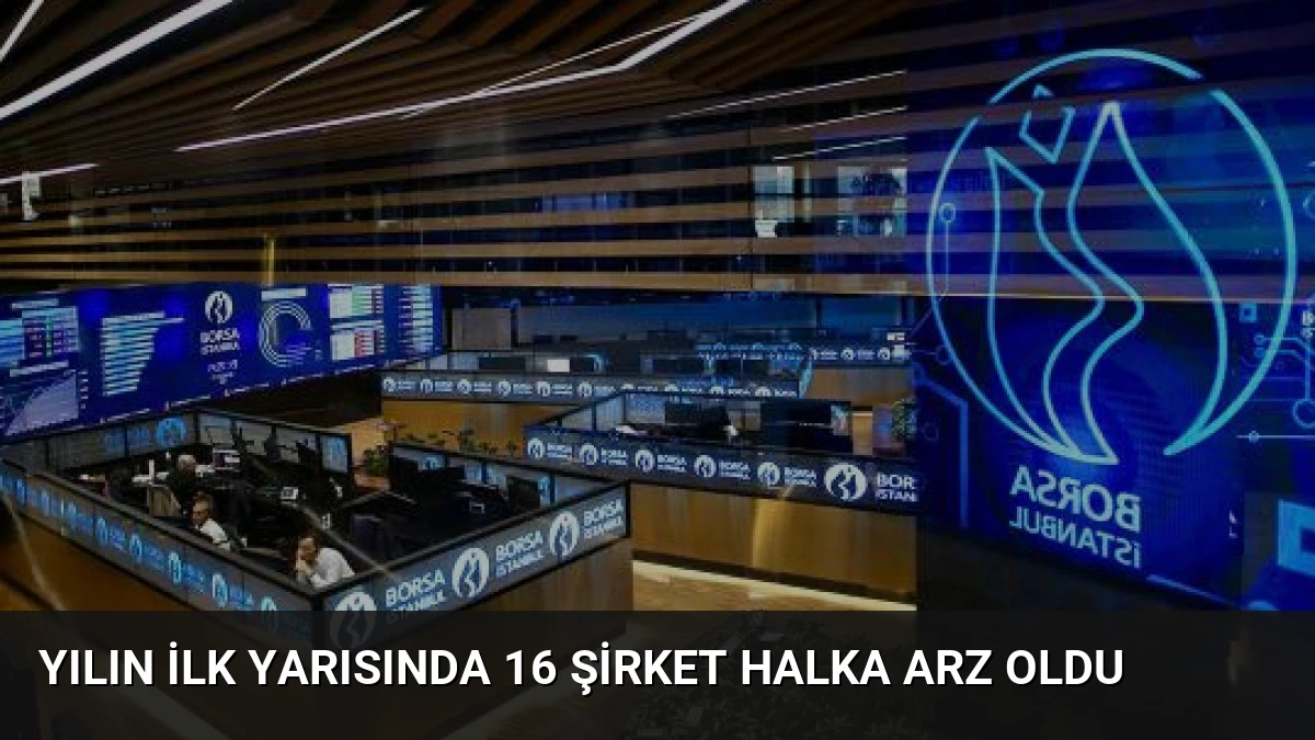 Yılın İlk Yarısında 16 Şirket Halka Arz Oldu